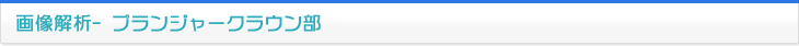 画像解析 プランジャークラウン部