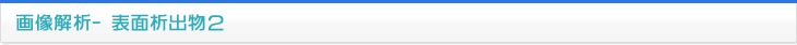画像解析 表面析出物２